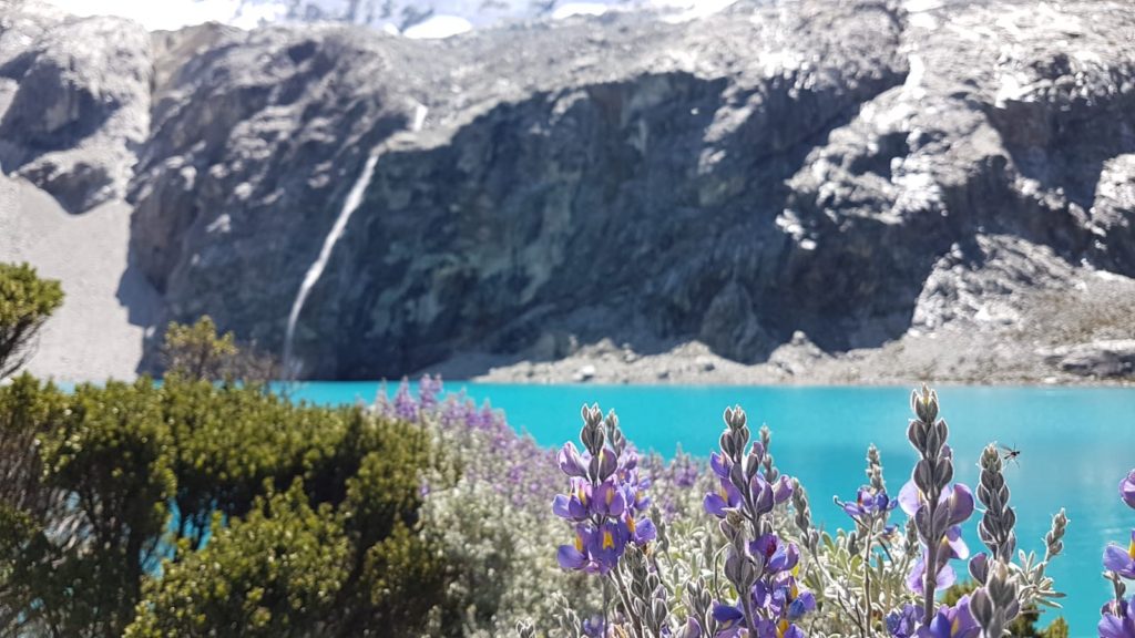 Hiking Laguna 69 in Peru