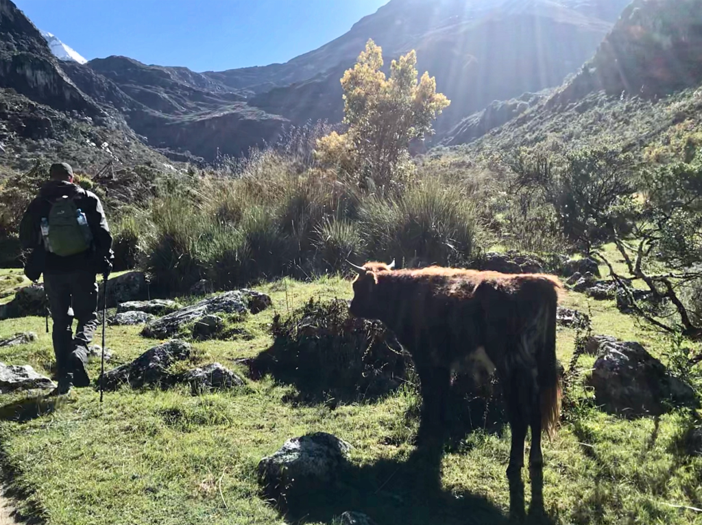 Hiking Laguna 69 in Peru