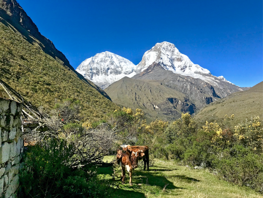 Hiking Laguna 69 in Peru